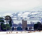 Winter, Llangasty, Brecon, Wales