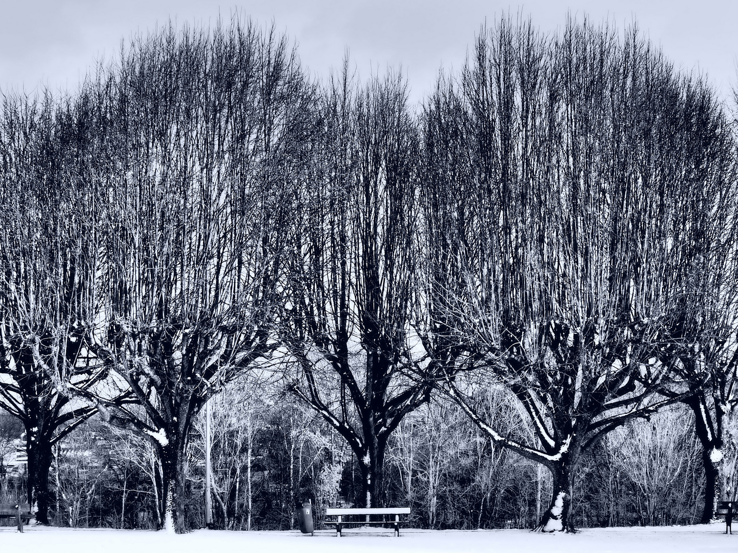 winter loneliness