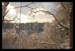 Winter - Lüneburg auf dem Kalkberg