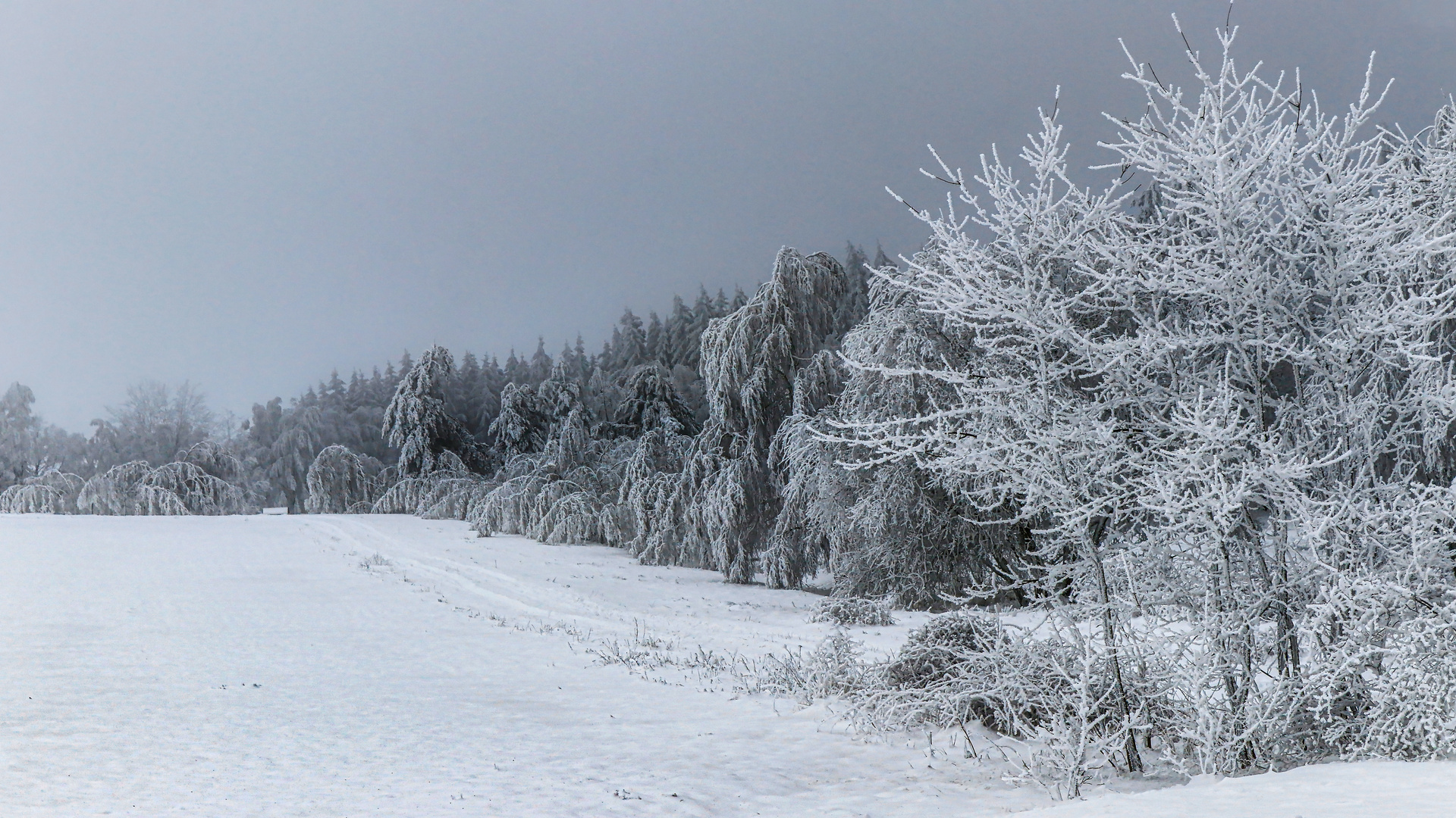 Winter m Vogtland