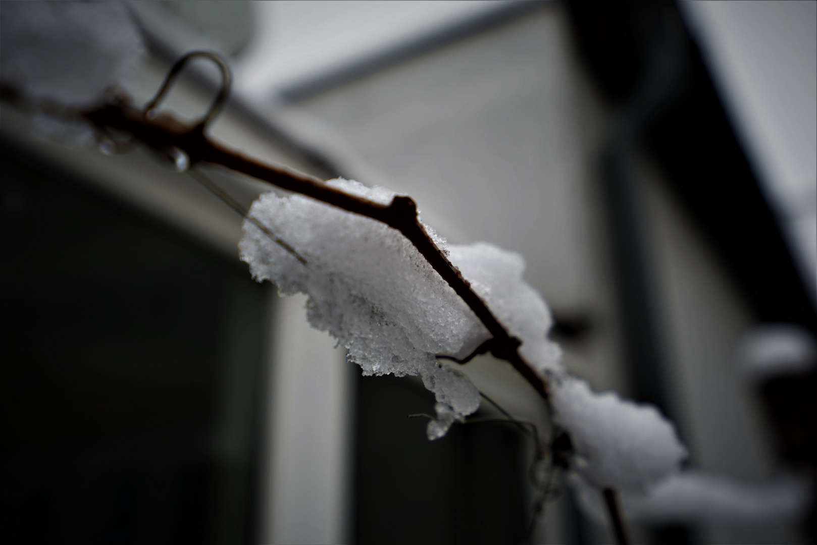 Winter Macro 1