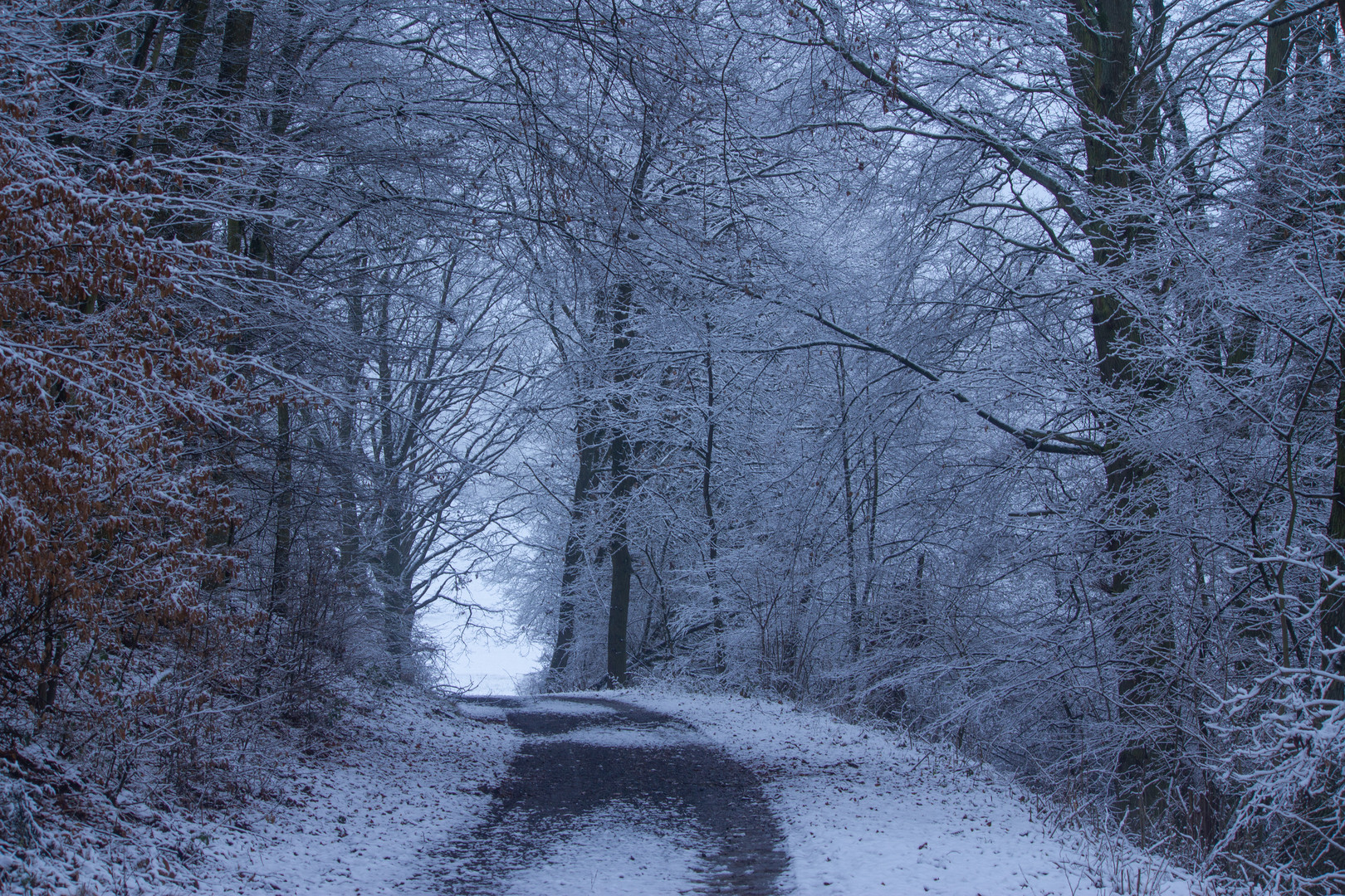 Winter Märchen 