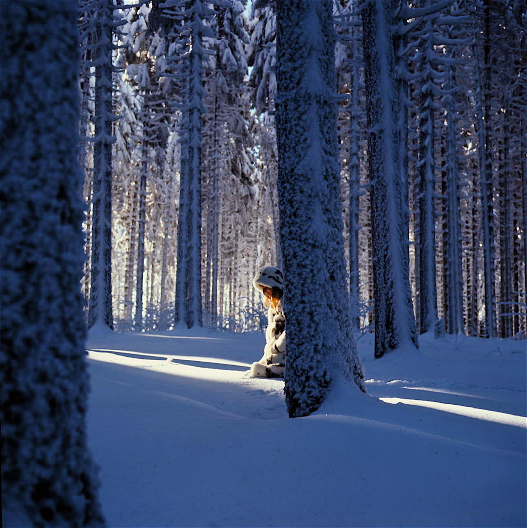 Winter-Märchen...