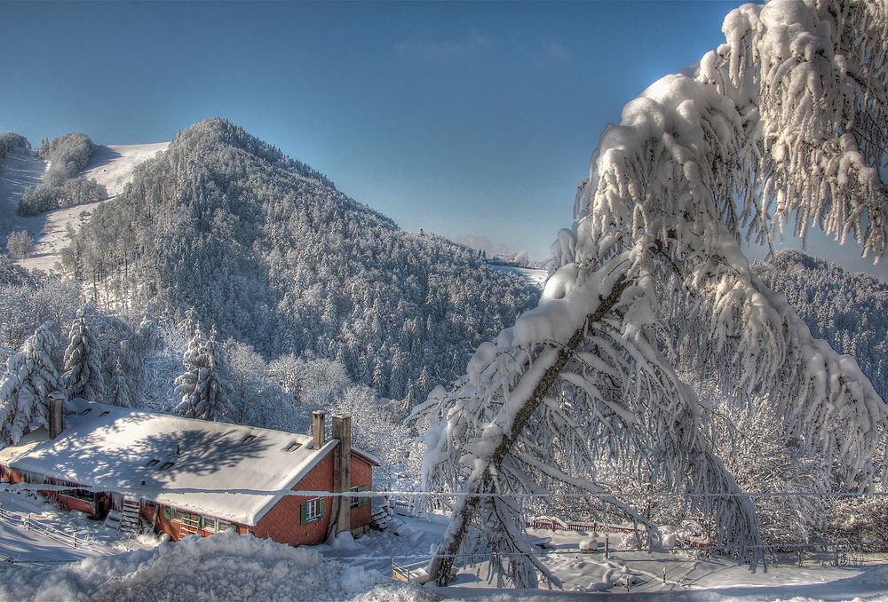 Winter-Märchenstimmung auf der Wasserfallen -Baselland -Schweiz ( HDR )