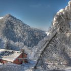 Winter-Märchenstimmung auf der Wasserfallen -Baselland -Schweiz ( HDR )