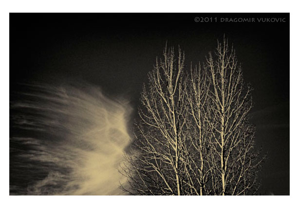 Winter Magic