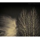 Winter Magic