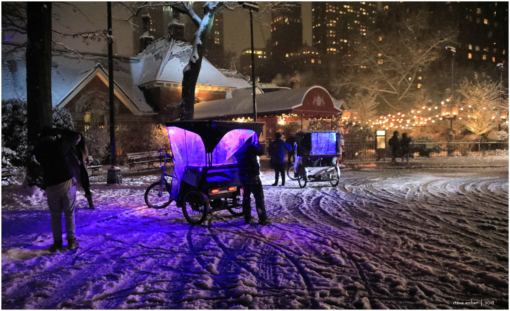 Winter Magic in Central Park