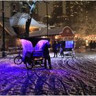 Winter Magic in Central Park