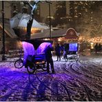 Winter Magic in Central Park