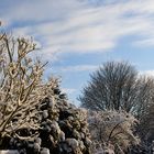 Winter - mal von seiner schönen Seite...