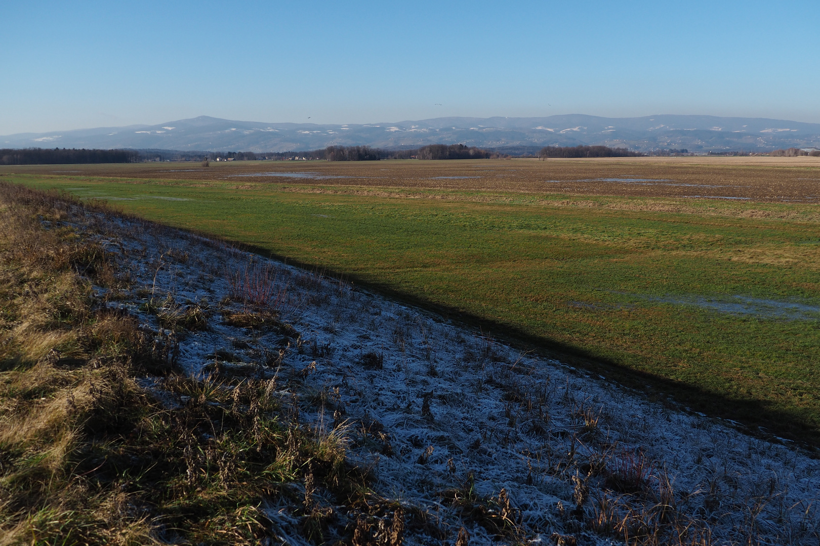 Winter-mehrfarbig