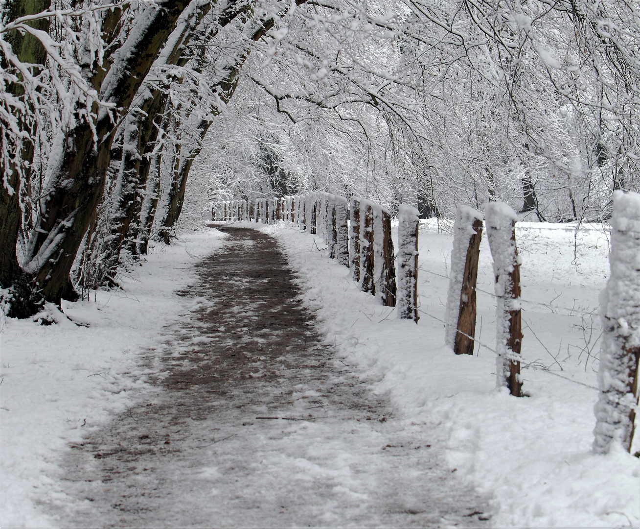 winter ..mein lieblingsweg