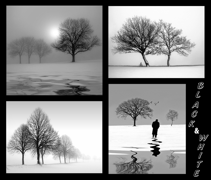 Winter Melancholie von Ilona Wellmann