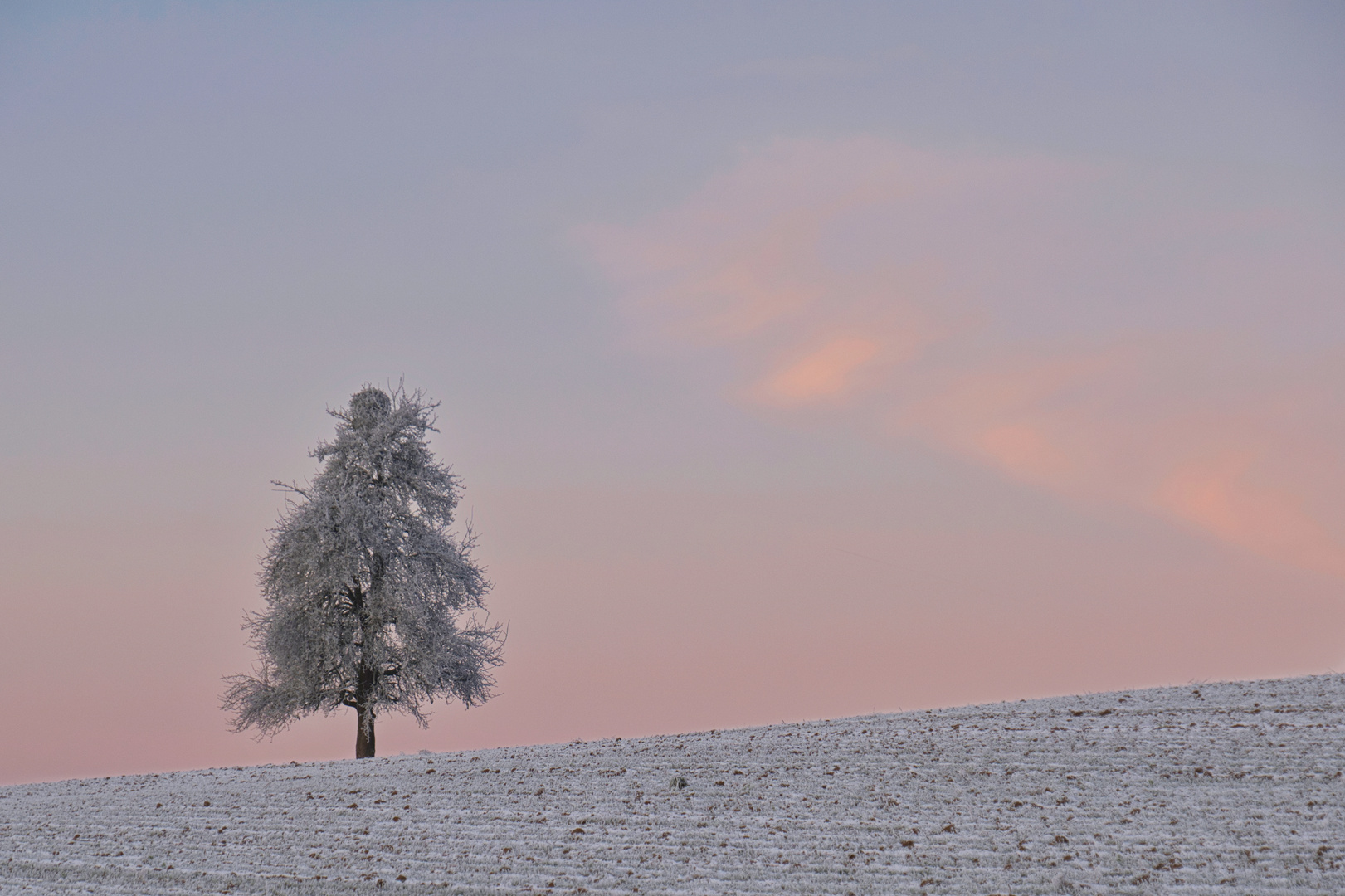 Winter Memories I