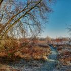 Winter Millingerwaard