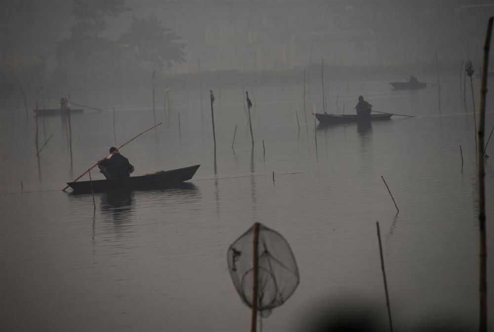 winter mist by sabyasachi Nath 