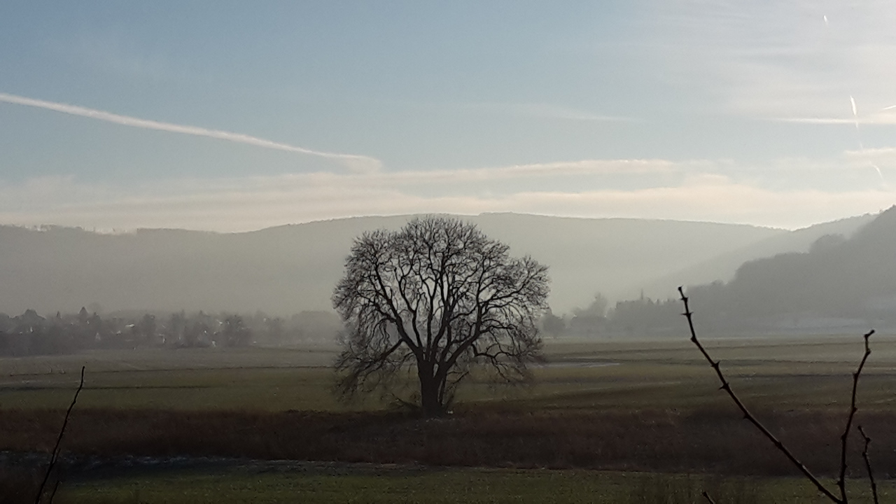 Winter mit aufziehendem Nebel 