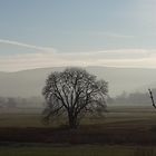 Winter mit aufziehendem Nebel 