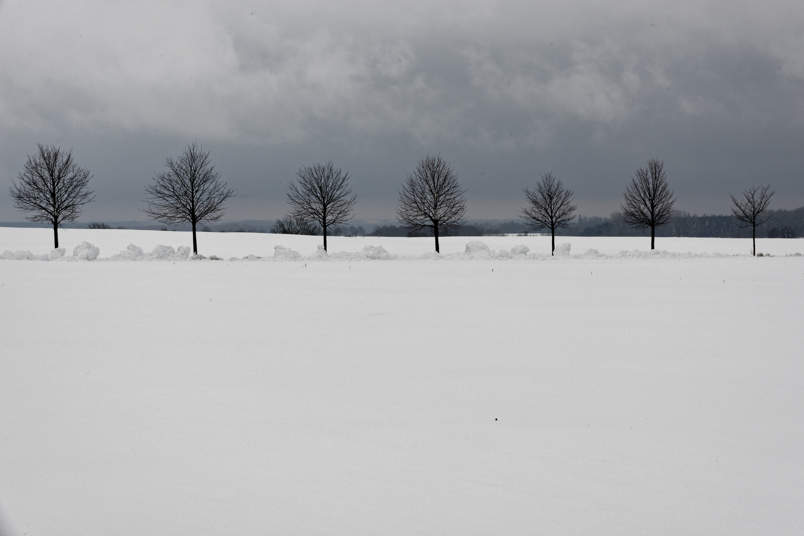 Winter mit Bäumen