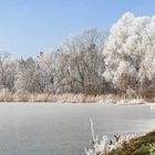 Winter mit grüner Ecke