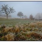 Winter mit Nebel im Hunsrück