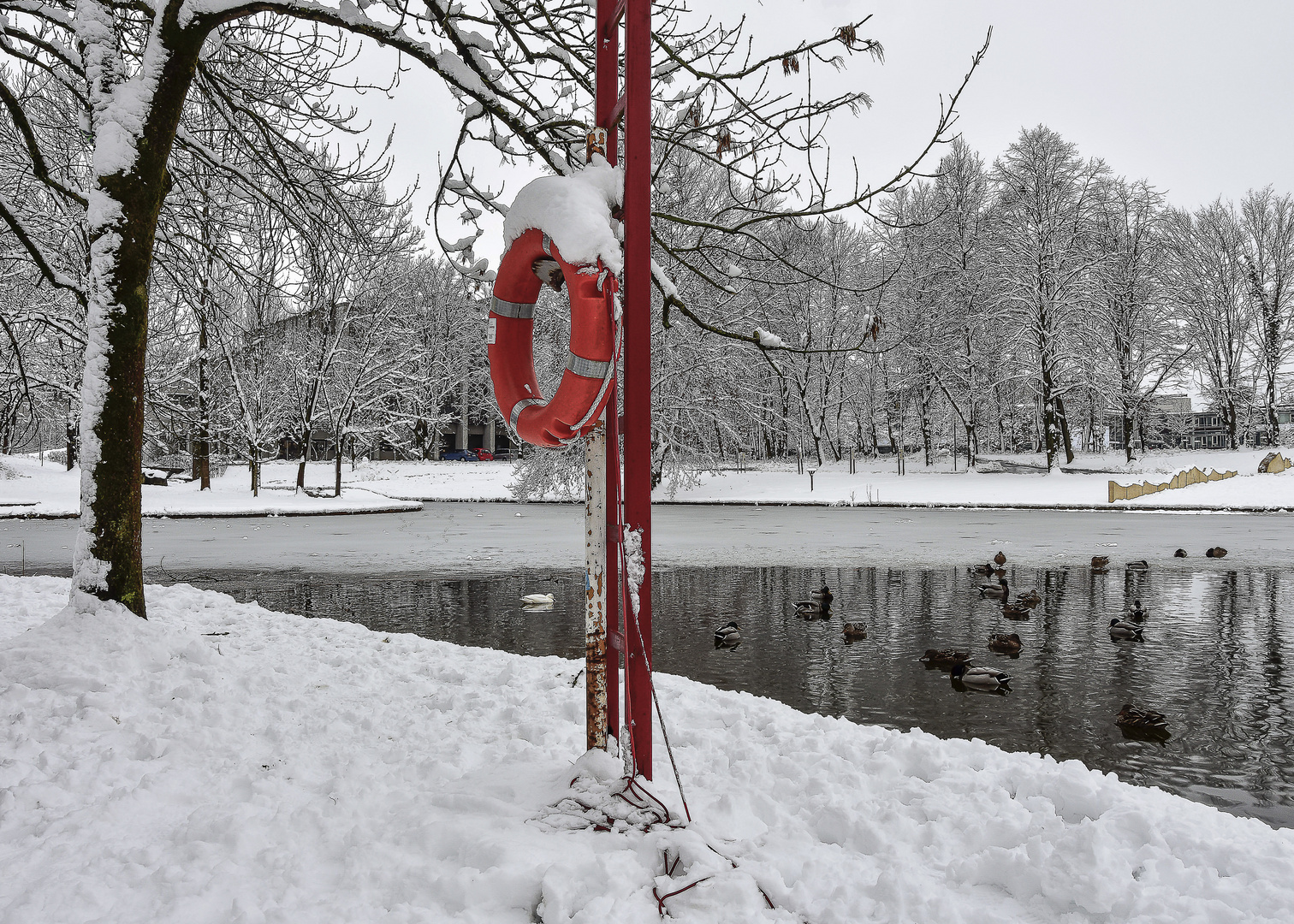 Winter mit Rettungsaussicht