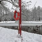 Winter mit Rettungsaussicht