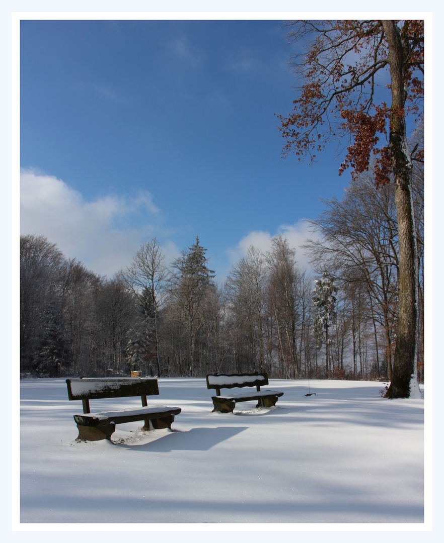 Winter mit Schnee