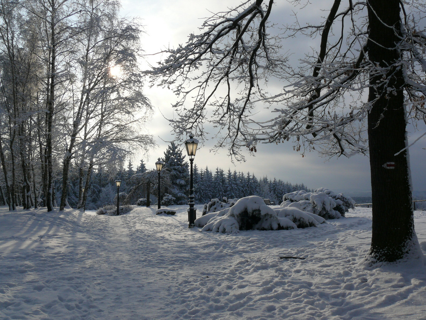 Winter mit Schnee