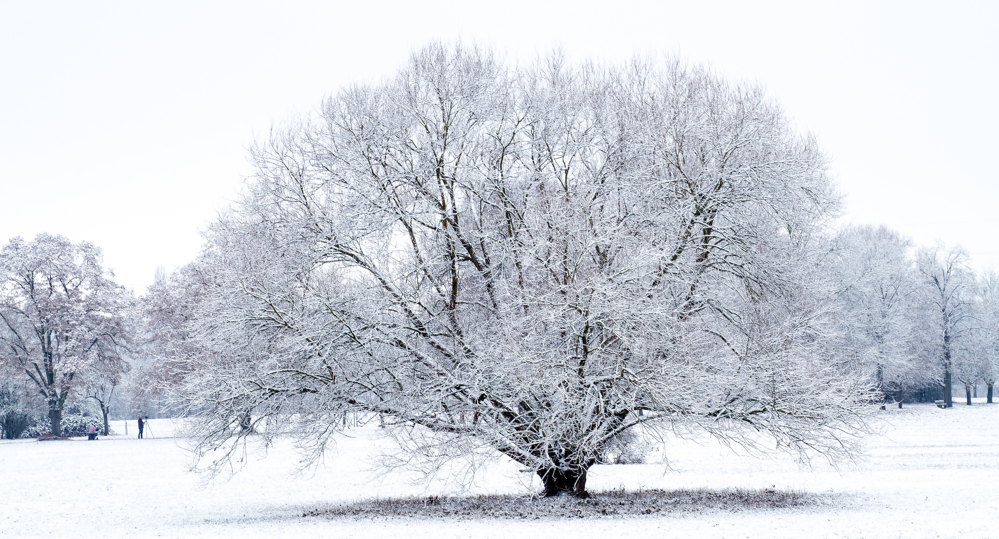 Winter mit Schnee im Staftpark