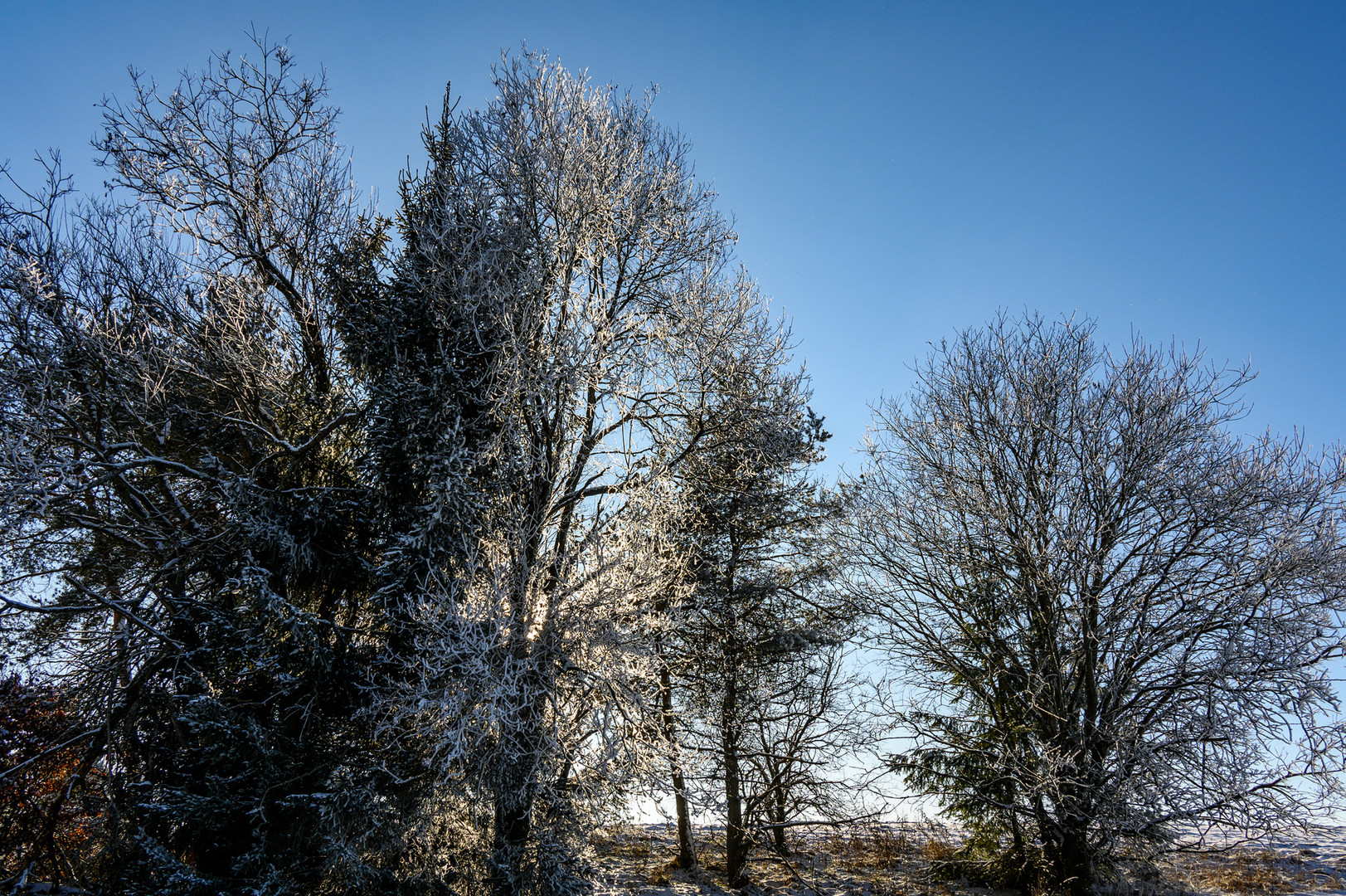 Winter mit Sonne - L'hiver avec soleil