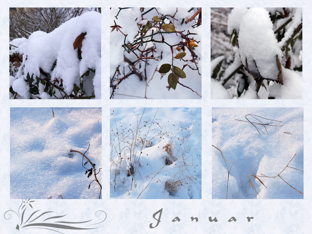 Winter-Momente im Januar