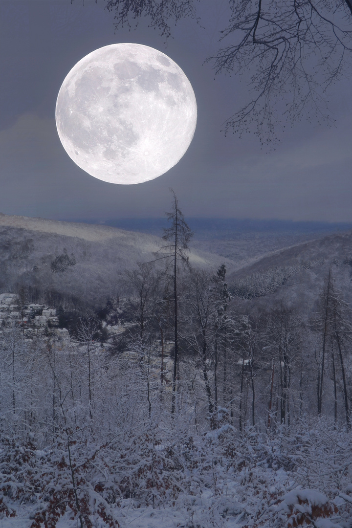 Winter Mond