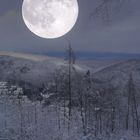 Winter Mond