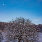 Winter-Mond