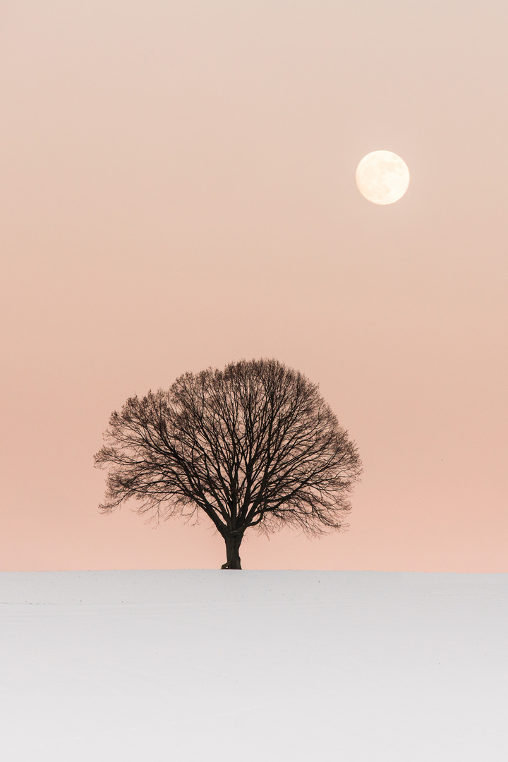 Winter-Mond v2