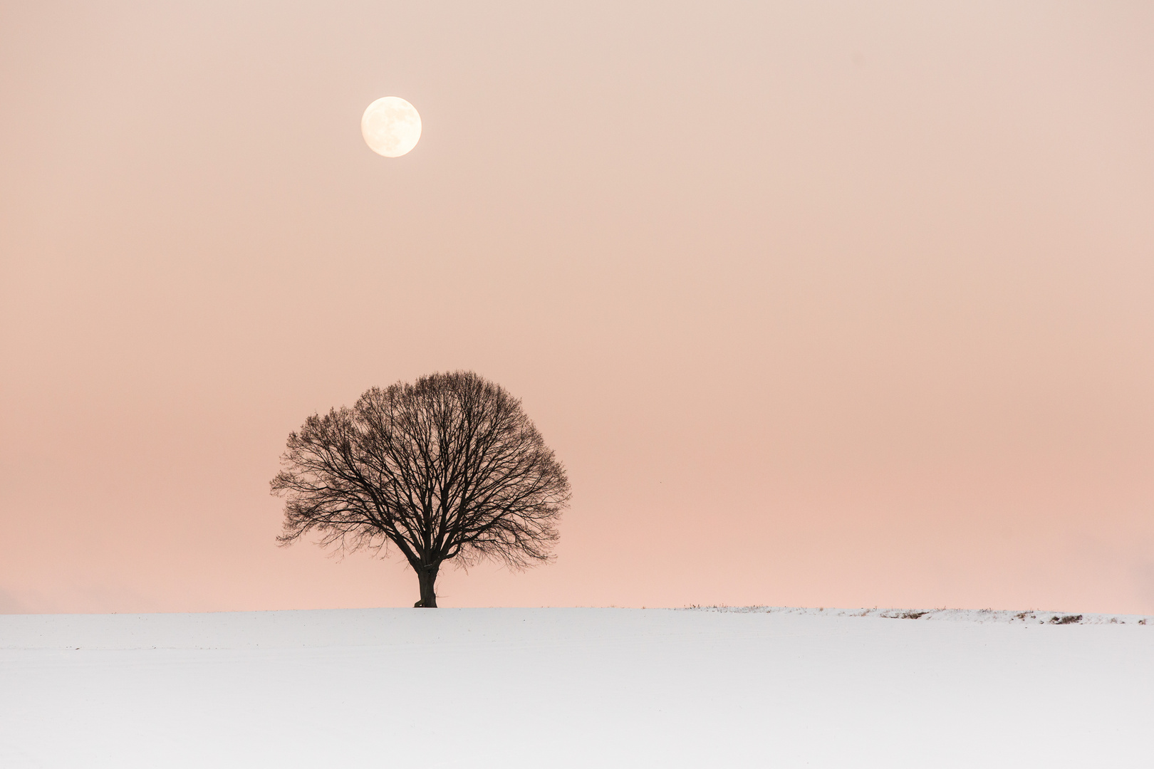Winter-Mond1