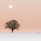 Winter-Mond1