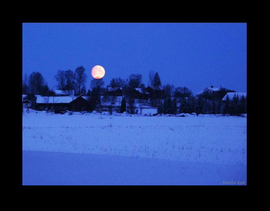 Winter moon