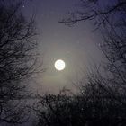 winter moon 