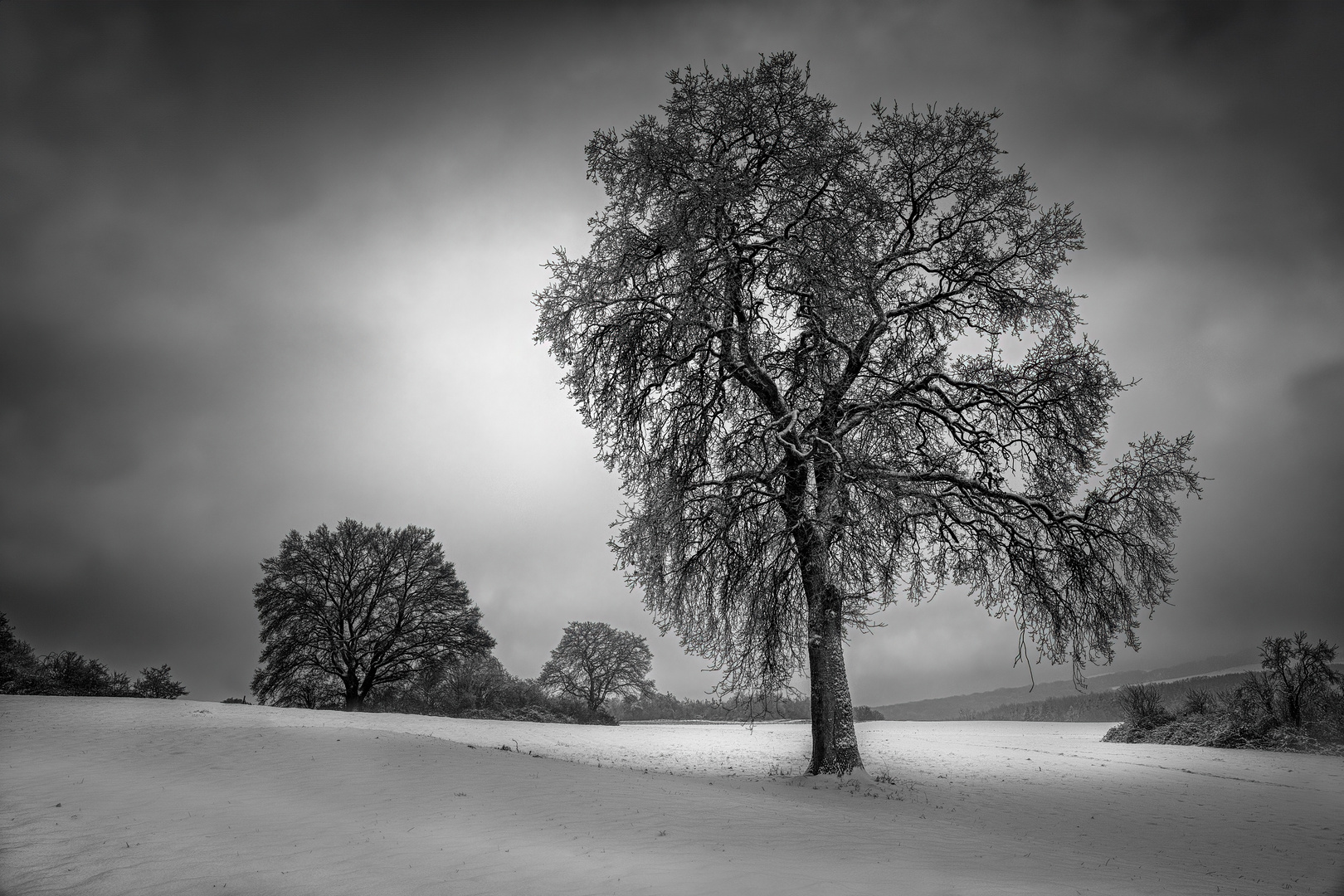 Winter Morgen im Hunsrück