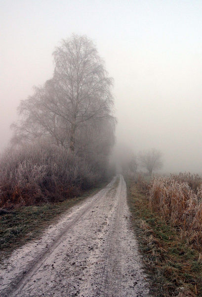 Winter Morgen umgebung Clenze Wendland