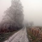 Winter Morgen umgebung Clenze Wendland
