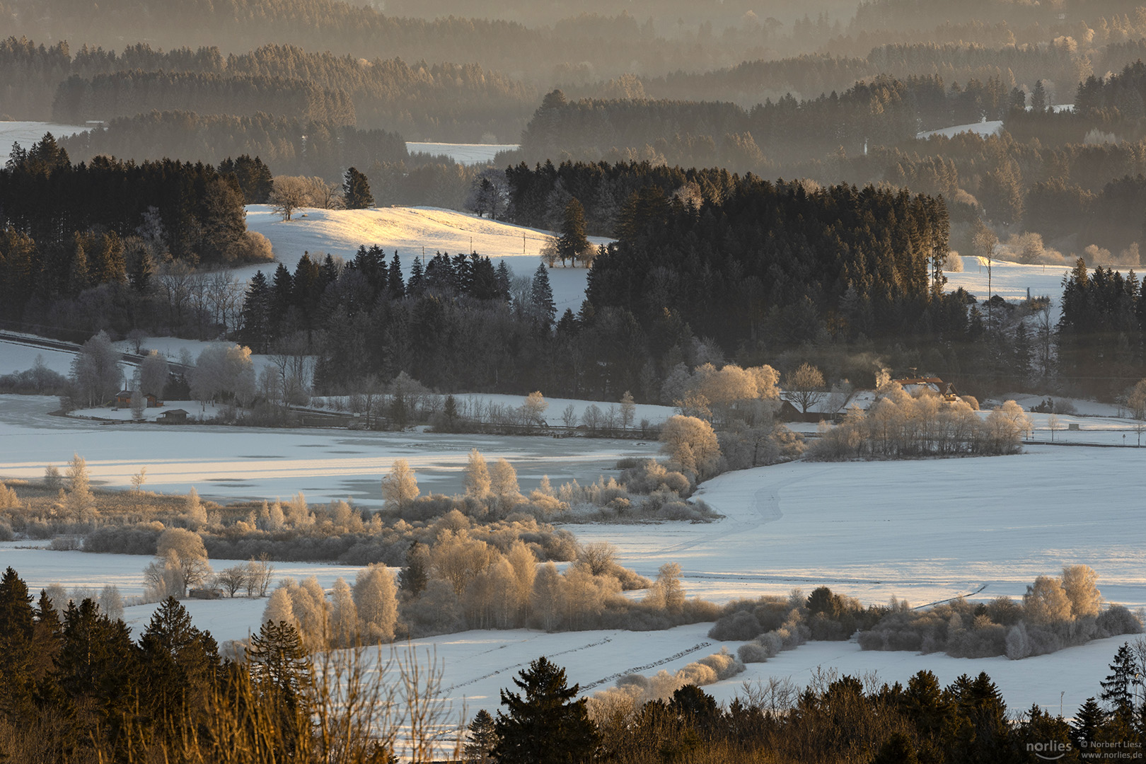 Winter Morgenlicht