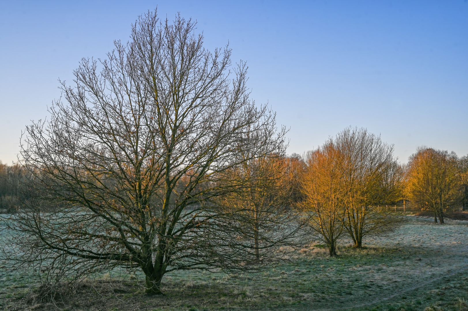 Winter Morgensonne