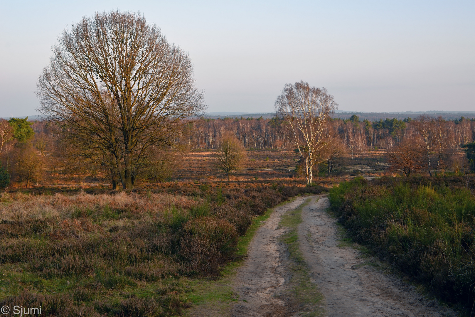 Winter Morgensonne