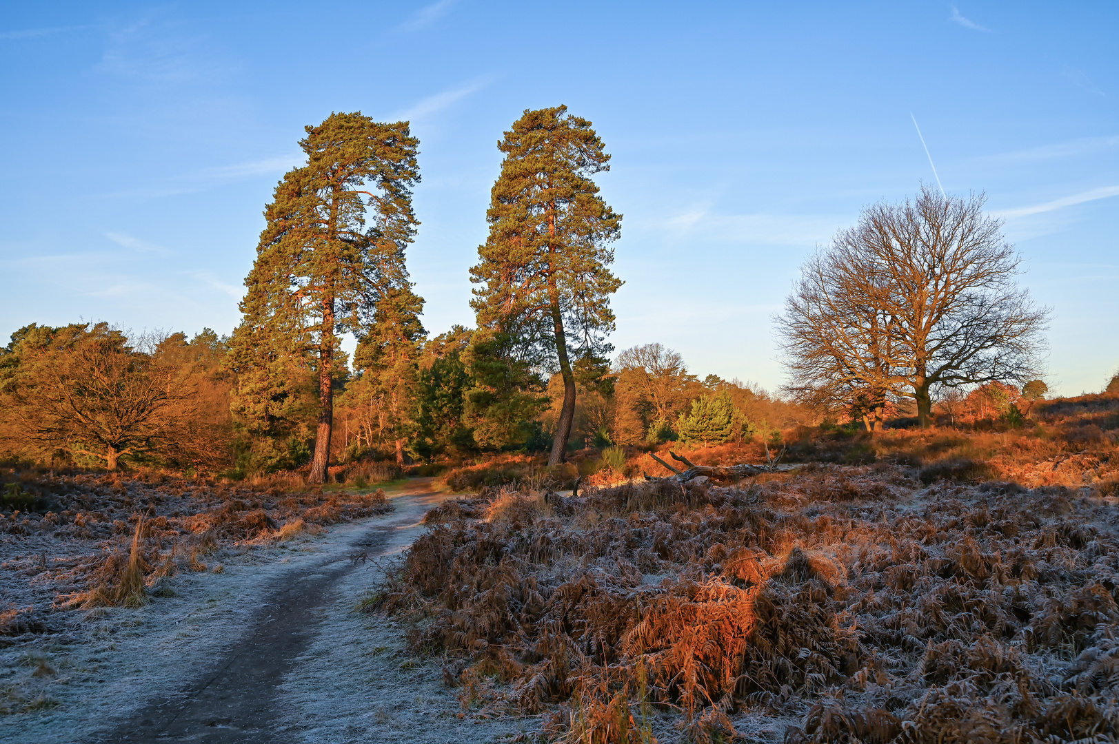 Winter Morgensonne