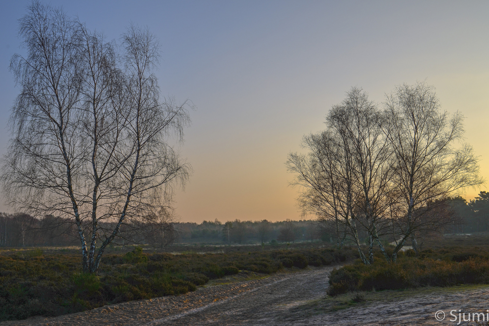 Winter Morgensonne