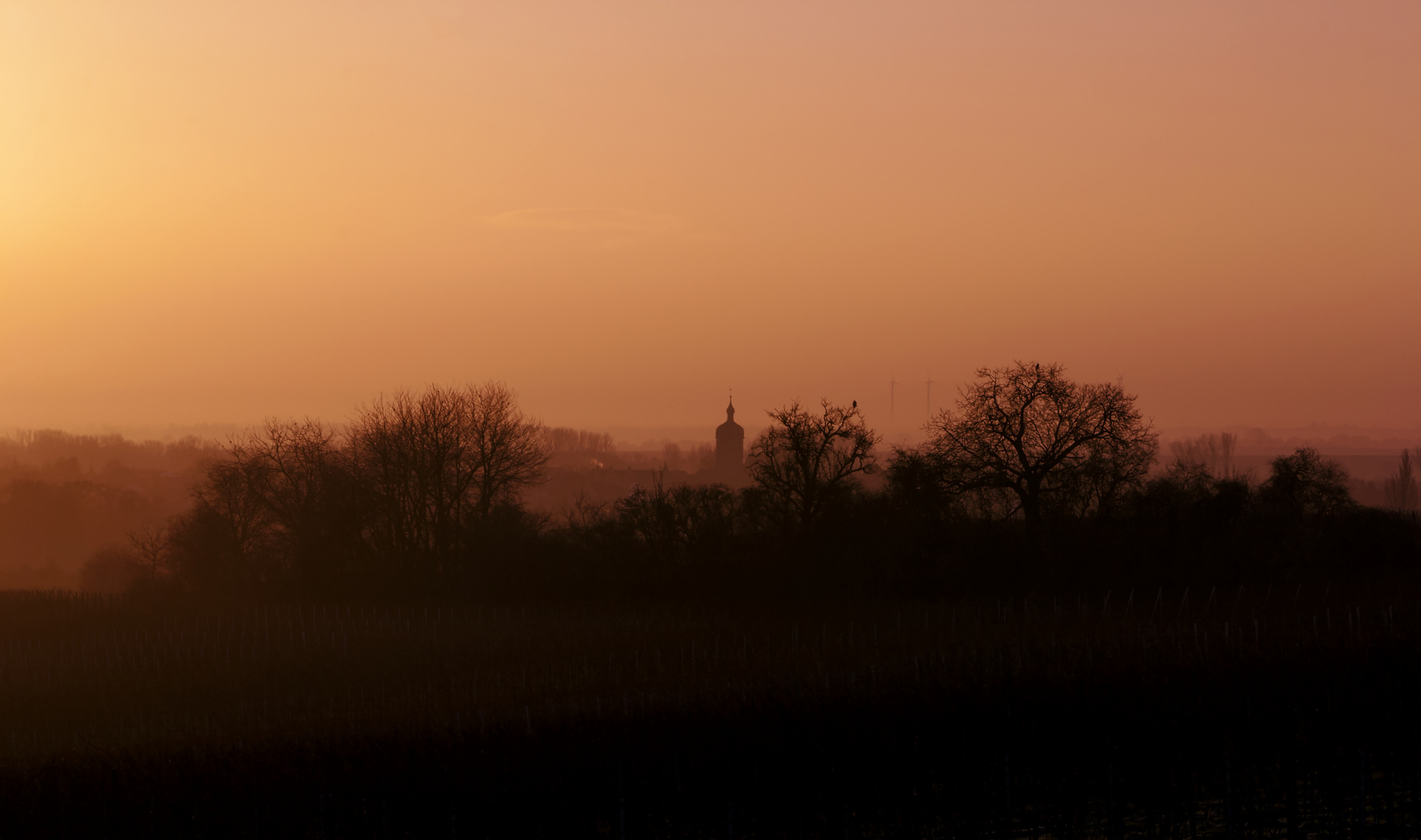 winter morn in soften orange ...